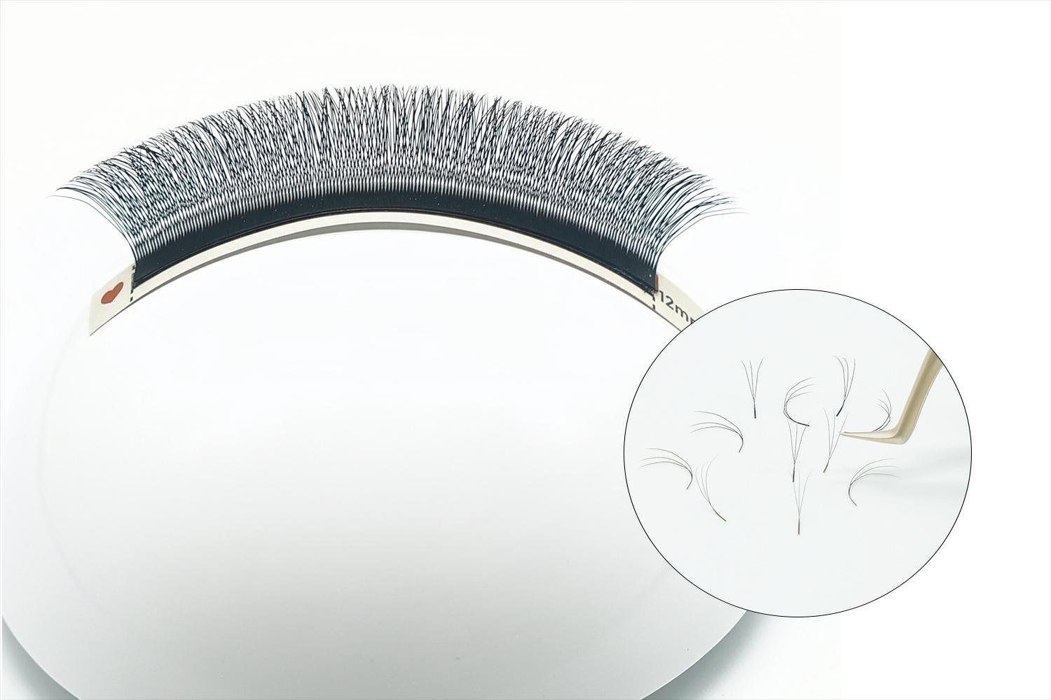 W Shape Lashes (W/YY Style)