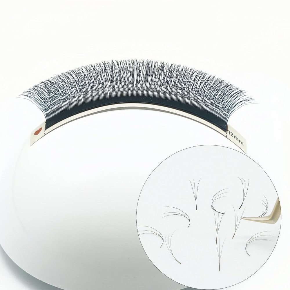 W Shape Lashes (W/YY Style)