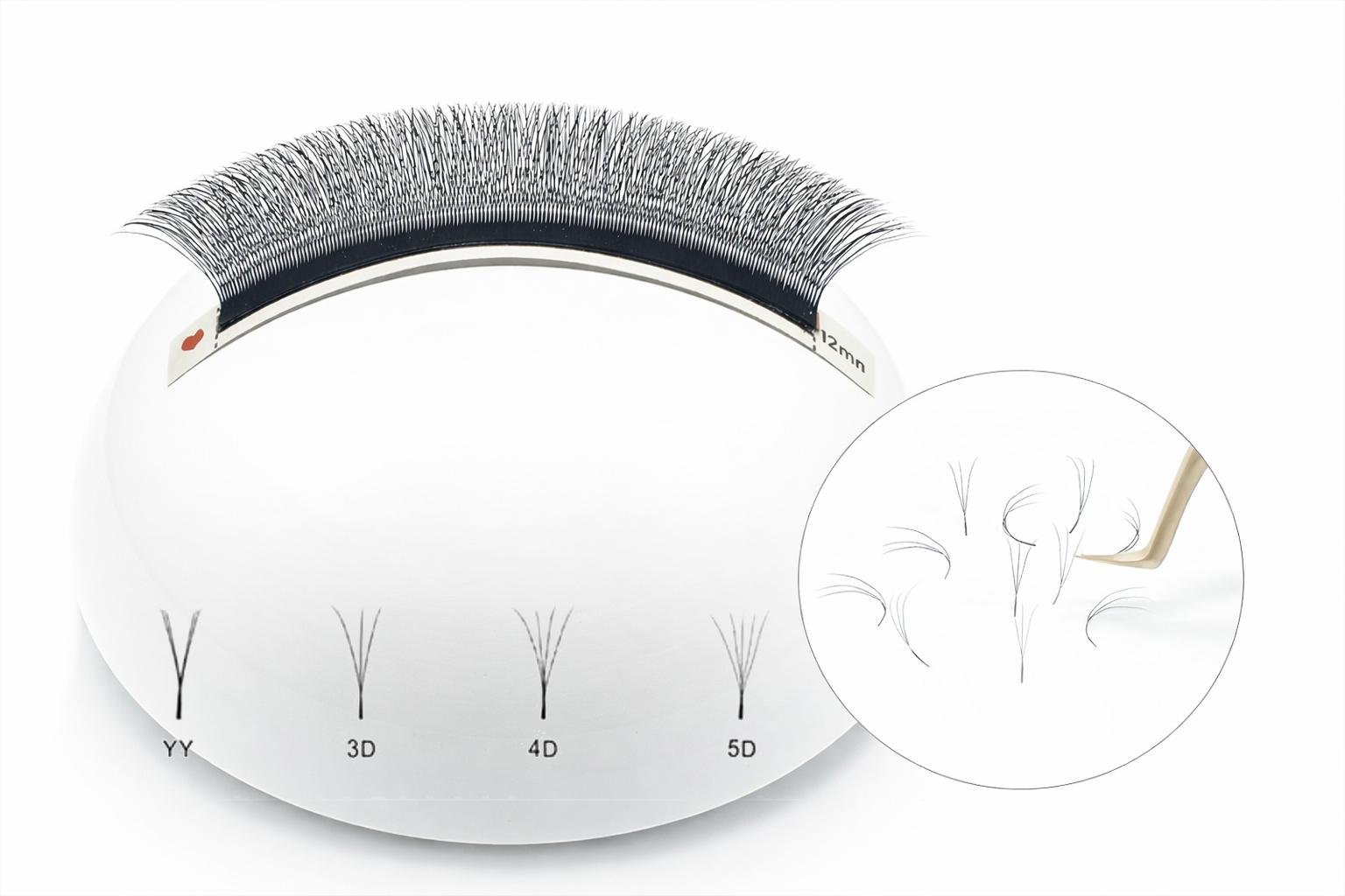 W Shape Lashes (W/YY Style)