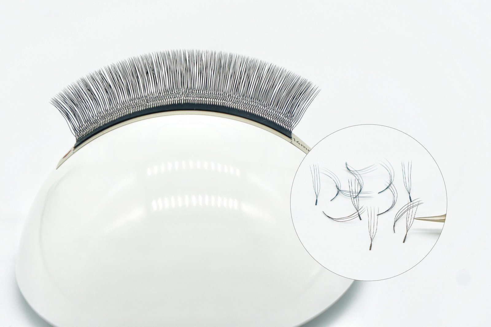 W Shape Lashes (W/YY Style)