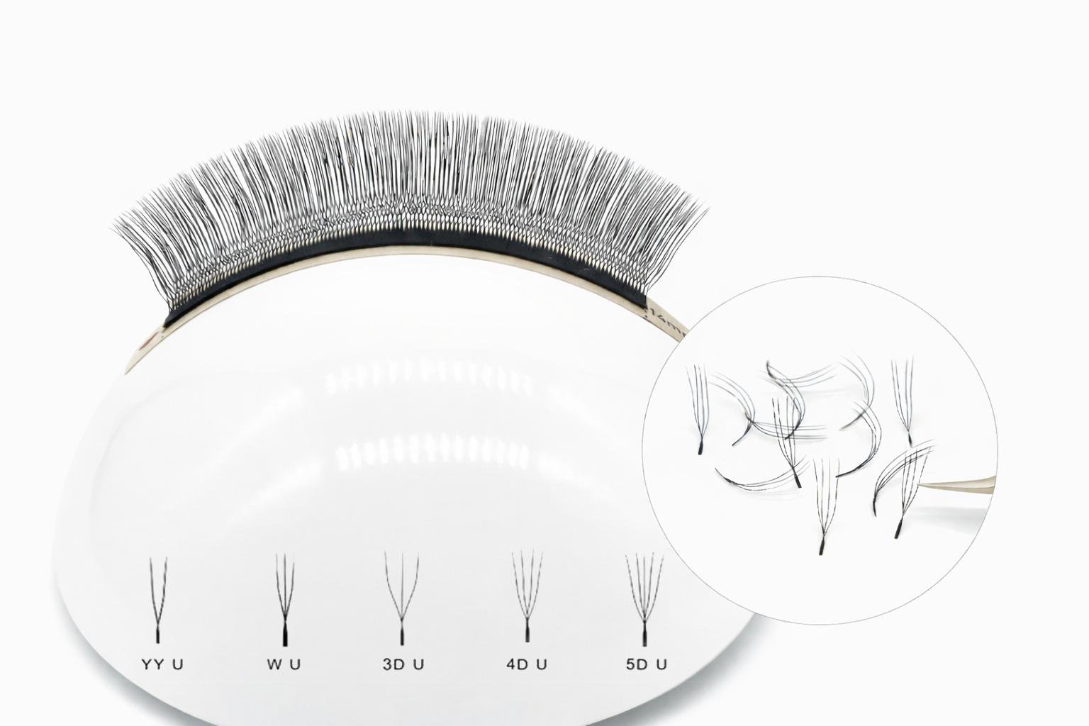 W Shape Lashes (W/YY Style)